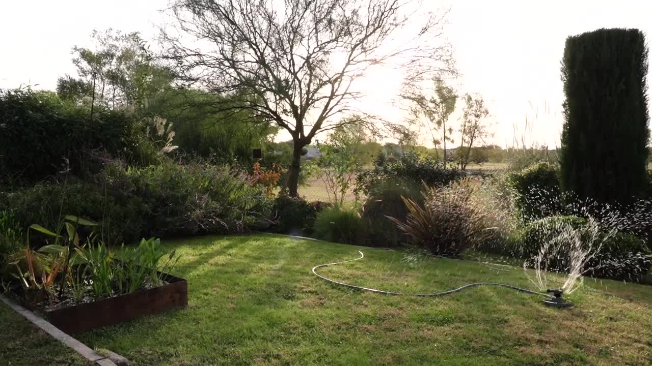 日落时分，花园里的洒水器正在给草地浇水视频素材