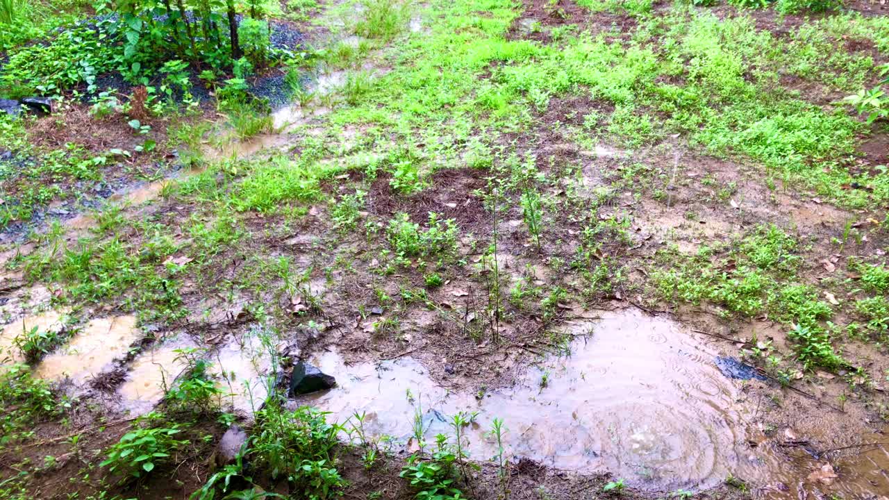 雨中泛起波纹的水面。地上有积水视频下载