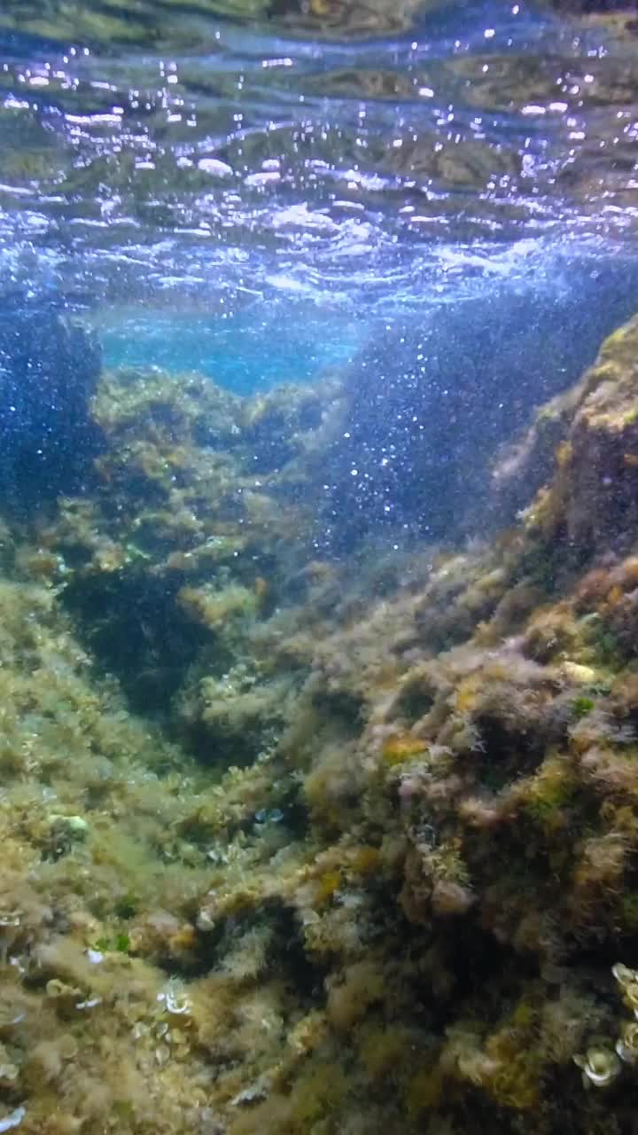 岩石海岸附近海浪的水下景观。垂直视频视频素材