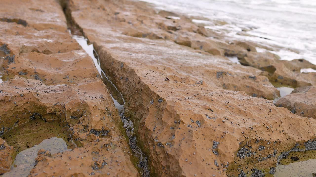 有潮汐池的岩石海岸线视频素材