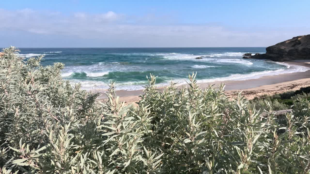 莫宁顿半岛的海浪视频素材