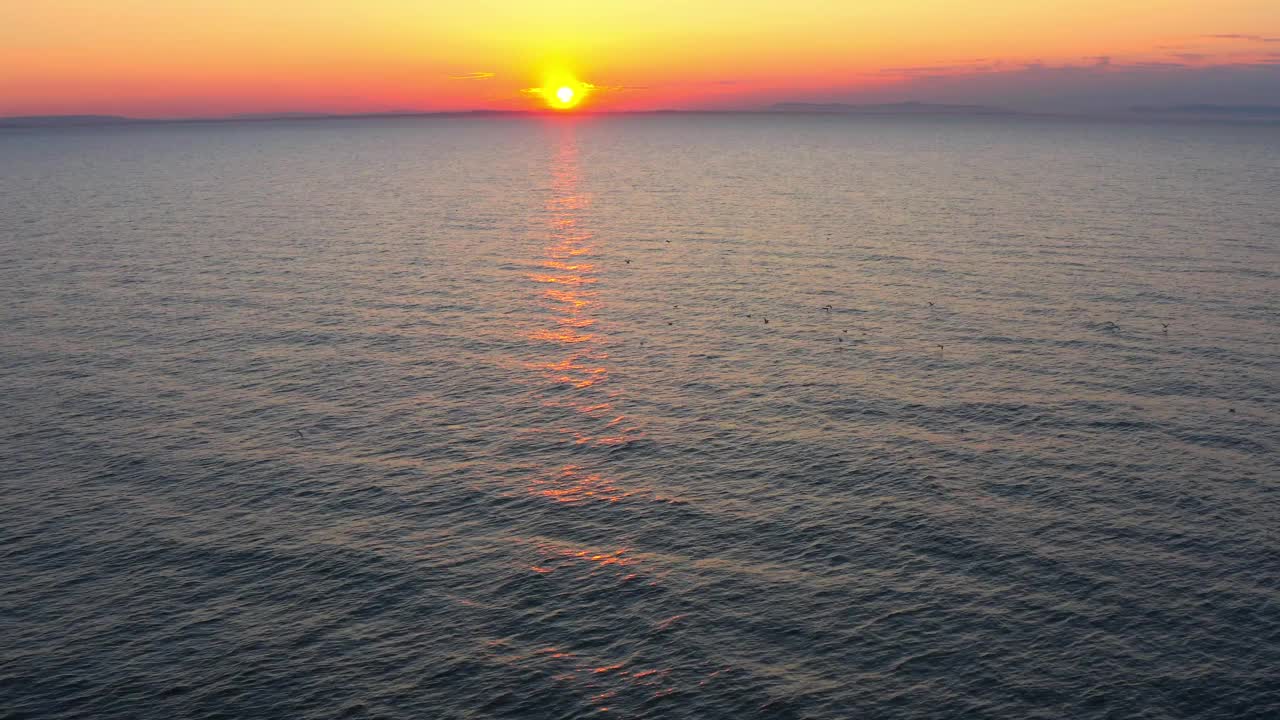 鸟瞰鸟群和日落在北海芬德霍恩海滩，苏格兰。4K无人机视频素材