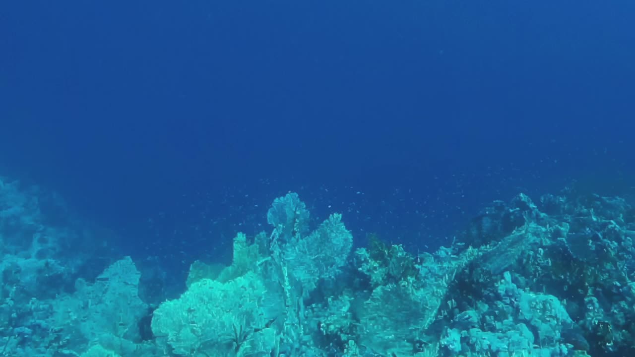 蓝色的海洋，底部是岩石视频下载