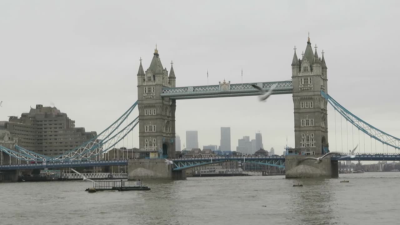 伦敦塔桥风景，英国。灰色的一天，伦敦泰晤士河和塔桥附近，海鸥飞舞。视频下载