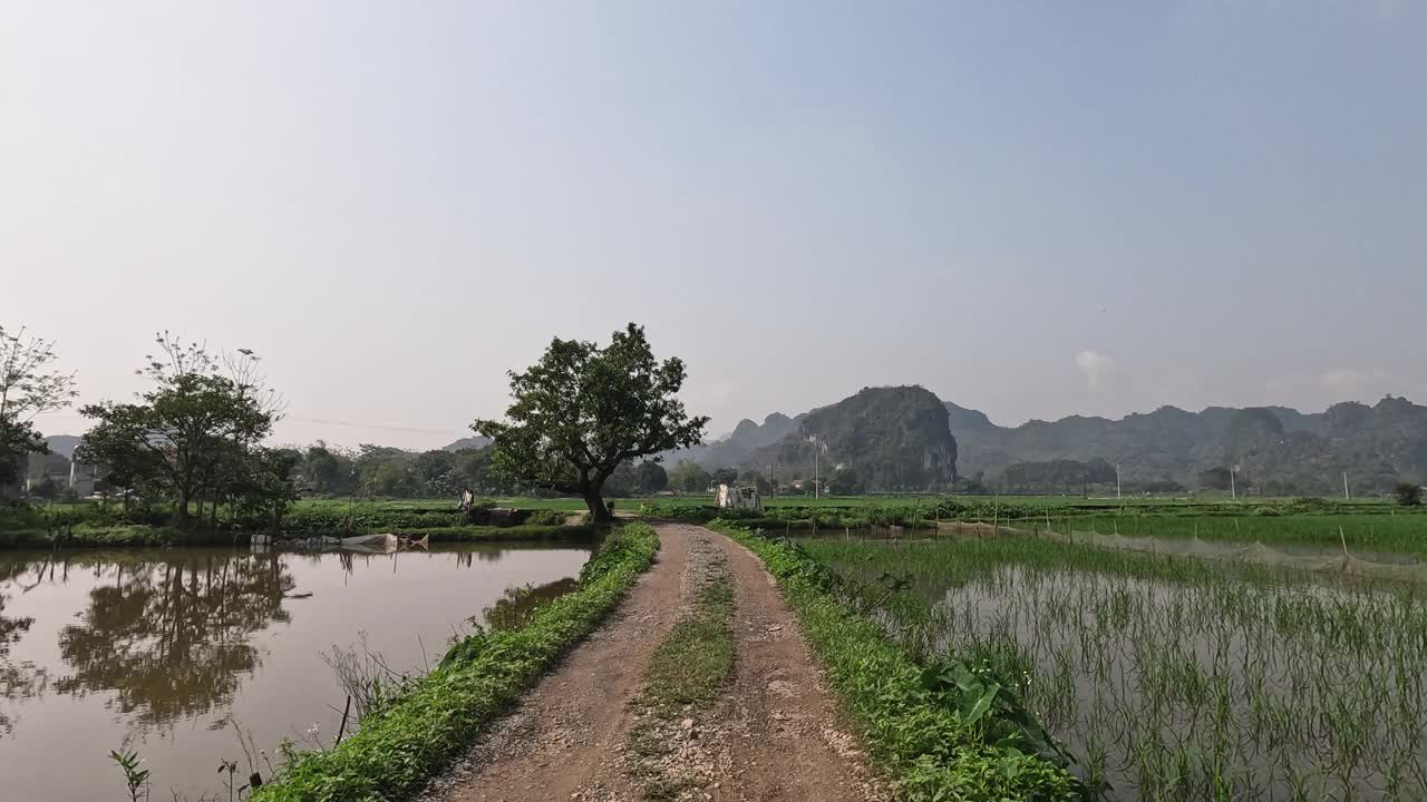 穿过宁平稻田的风景小径视频素材