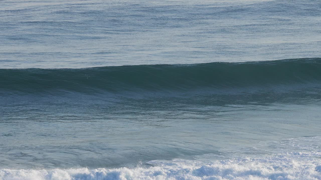 海浪冲击着莫宁顿半岛视频素材