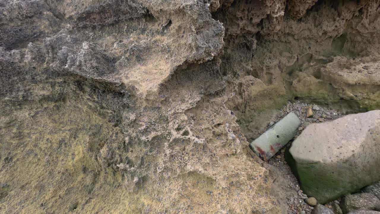 石灰岩和海洋生物视频素材