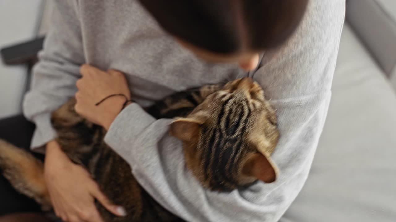 一位年轻女子抱着她的虎斑猫，坐在舒适的室内客厅的沙发上，捕捉宠物和主人之间的温柔时刻。视频素材