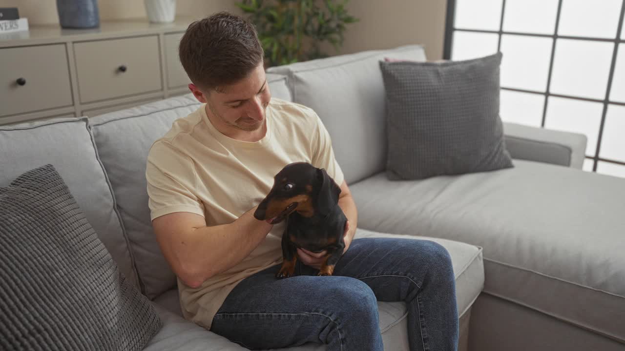 一个年轻人坐在客厅里，灰色的沙发上抱着他的宠物腊肠犬。视频素材