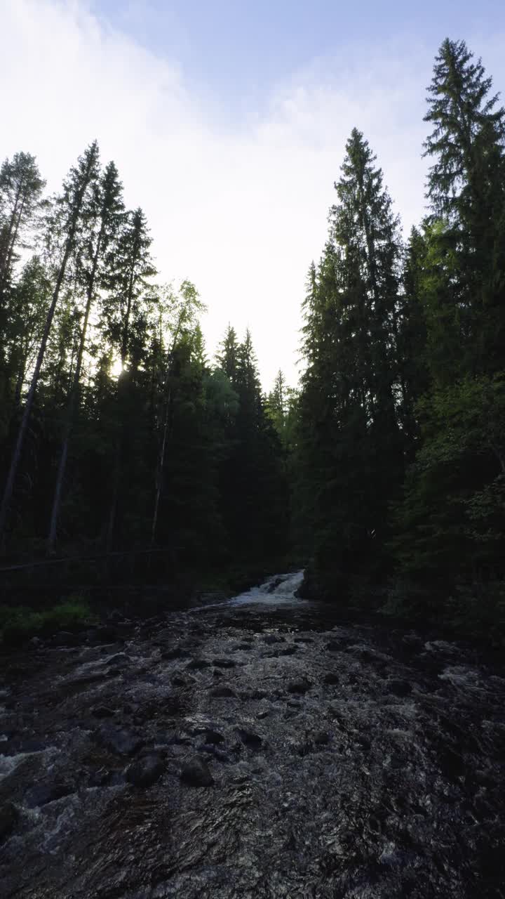 有小瀑布的风景河穿过森林视频素材