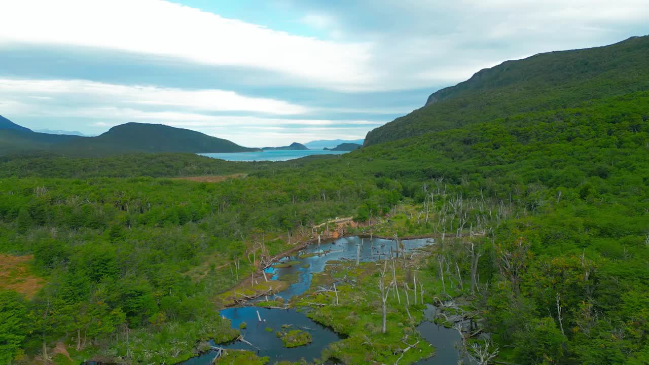 在阿根廷乌斯怀亚的火地岛，俯瞰安第斯山脉森林，背景是湖泊和峡湾。视频下载