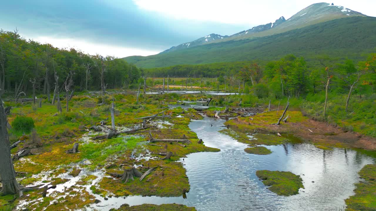 鸟瞰火地岛郁郁葱葱的绿色景观和水道，背景是山脉。视频下载