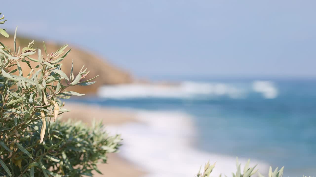 莫宁顿半岛的海浪视频素材