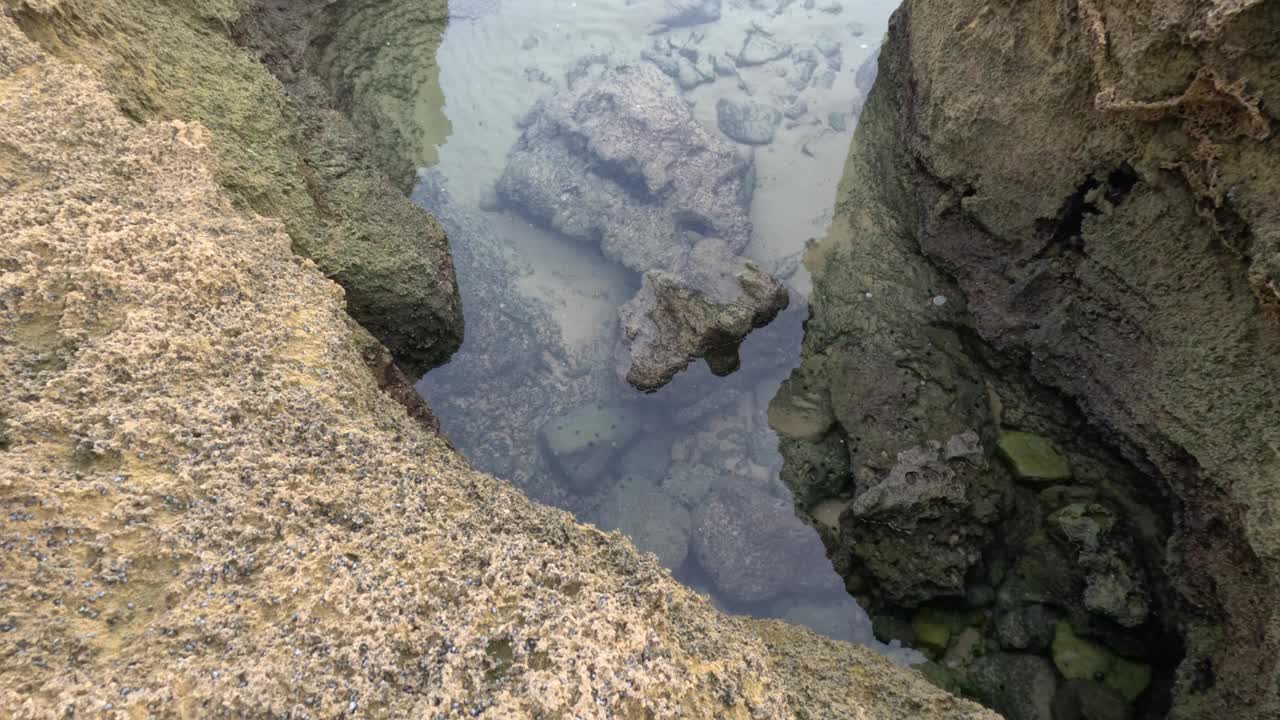 莫宁顿半岛的岩石池视频素材