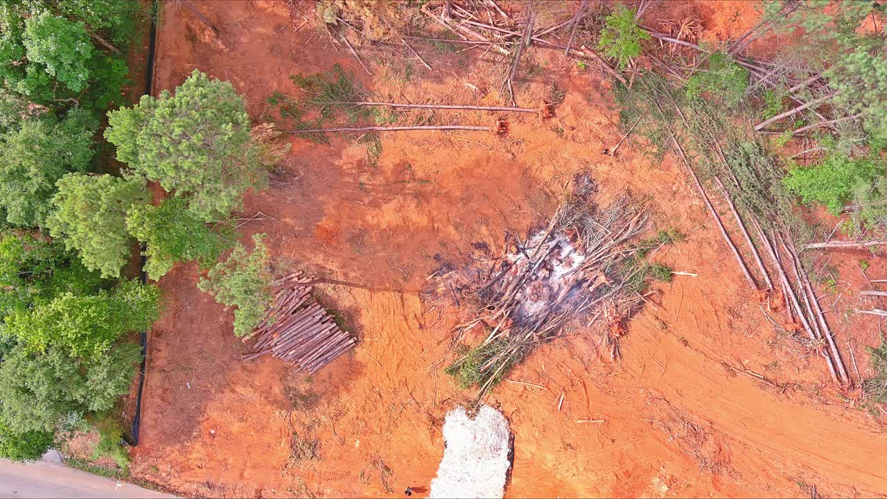 在为建房准备土地时，连根拔起的树木被砍倒烧毁视频素材