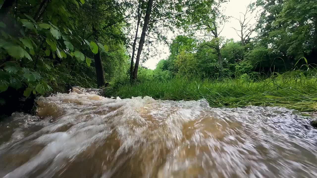 雨后，德国森林里愤怒而肮脏的溪水视频素材