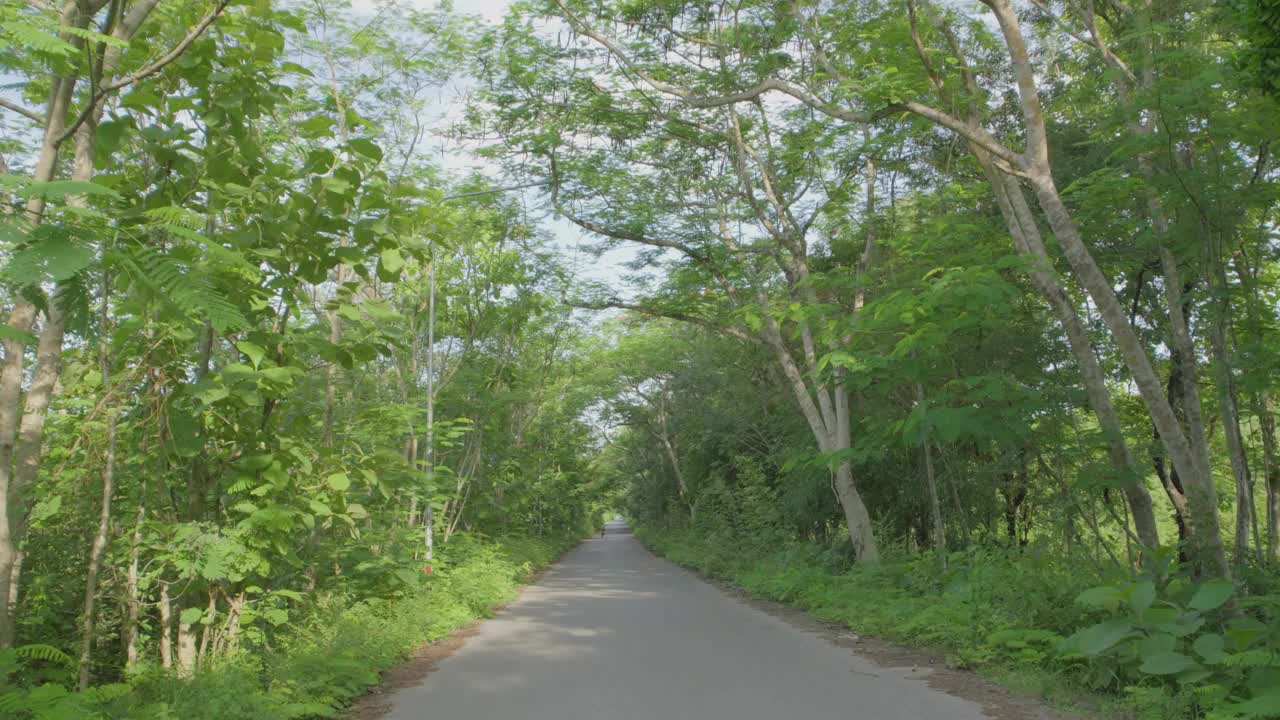 泰国乡村，在绿树成荫的道路上开车。视频素材