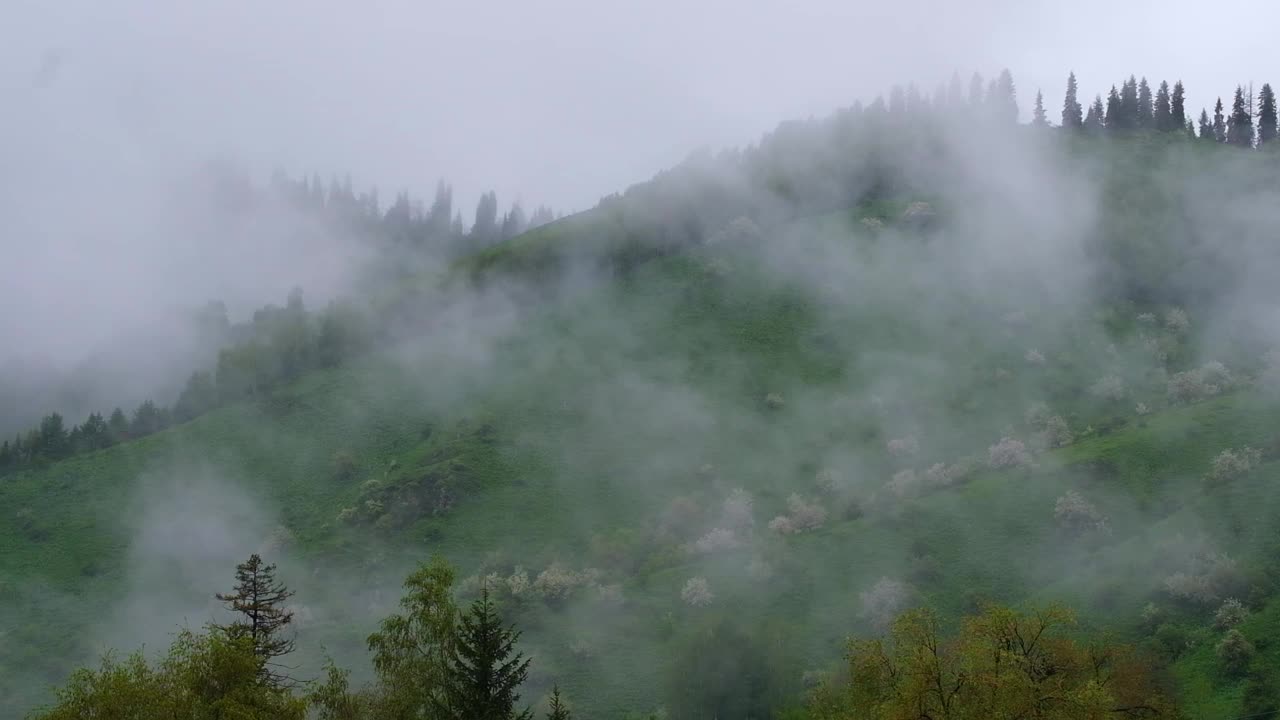 春天的山峦上飘着云，树上结满了花视频下载