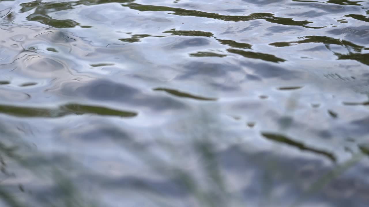 流动的河水的细节视频下载