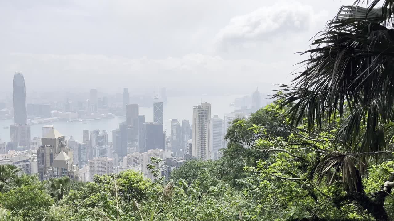 从山顶俯瞰的香港天际线视频素材