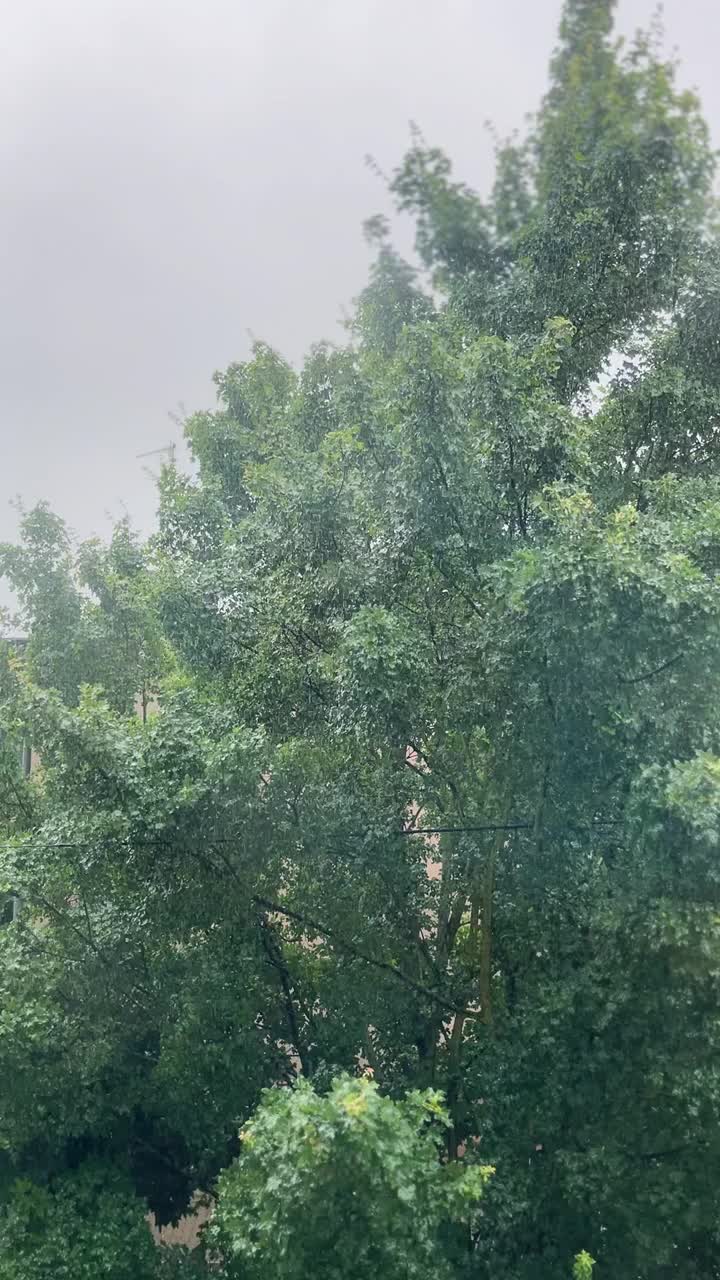 窗外景色，雨点，雨点视频素材