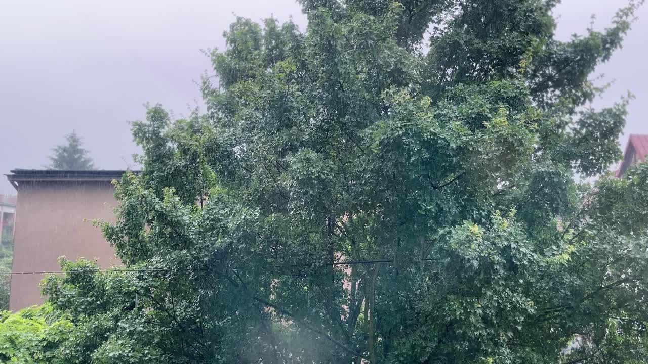 窗外景色，雨点，雨点视频素材