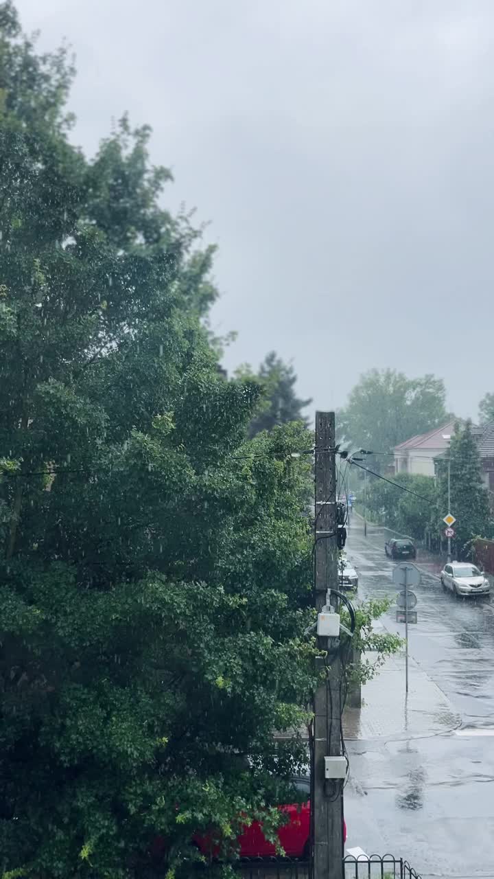 窗外景色，雨点，雨点视频素材