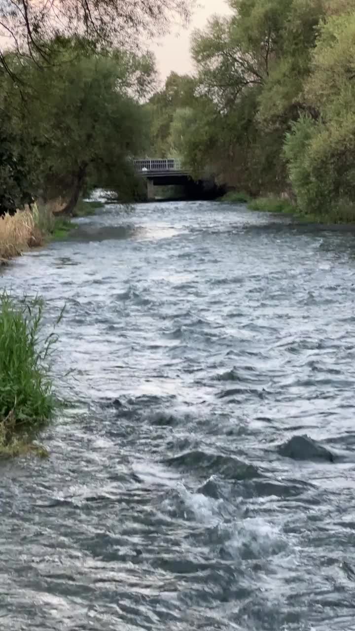 城市内部河流中壮观的水流。视频下载