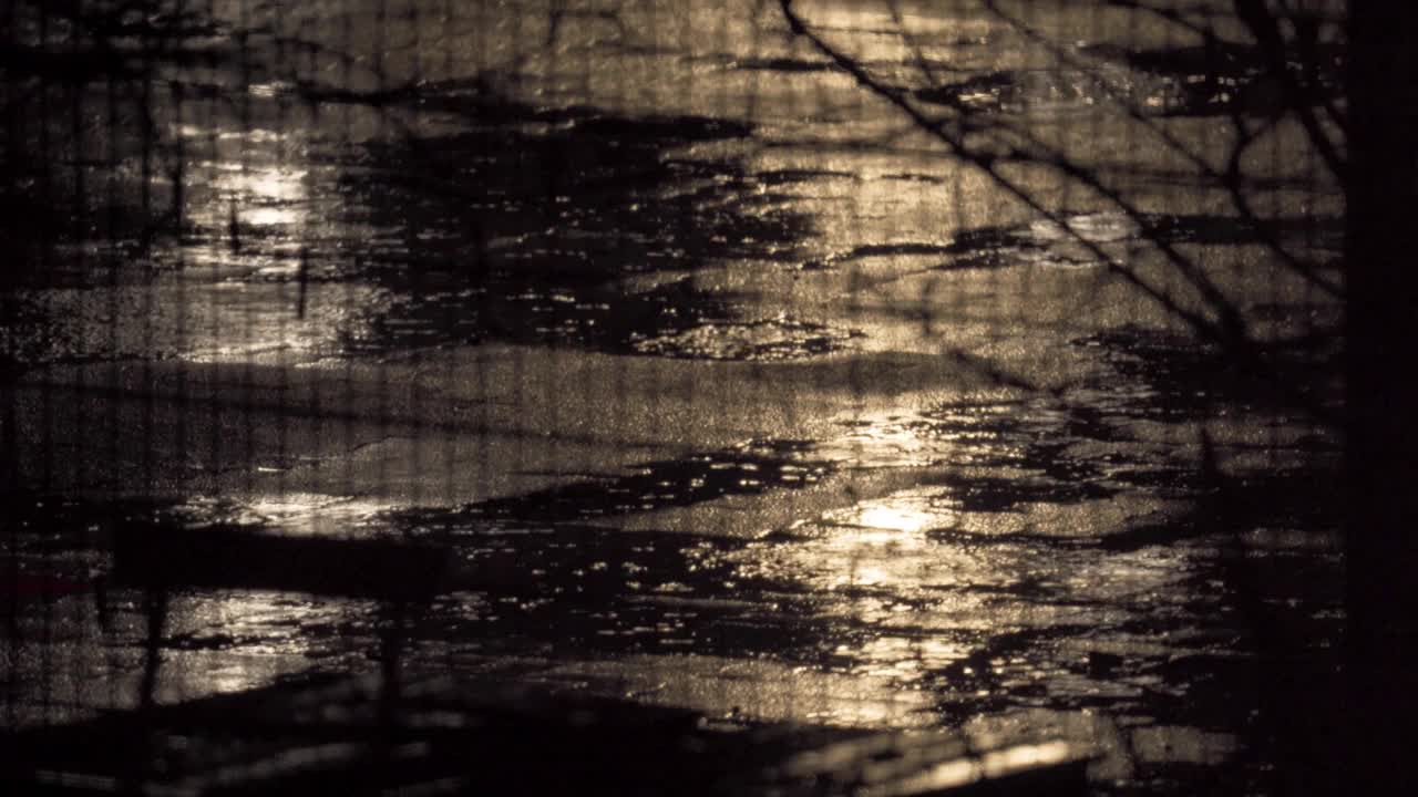 大雨在沥青在晚上与路灯反射后面的栅栏-静态视频素材