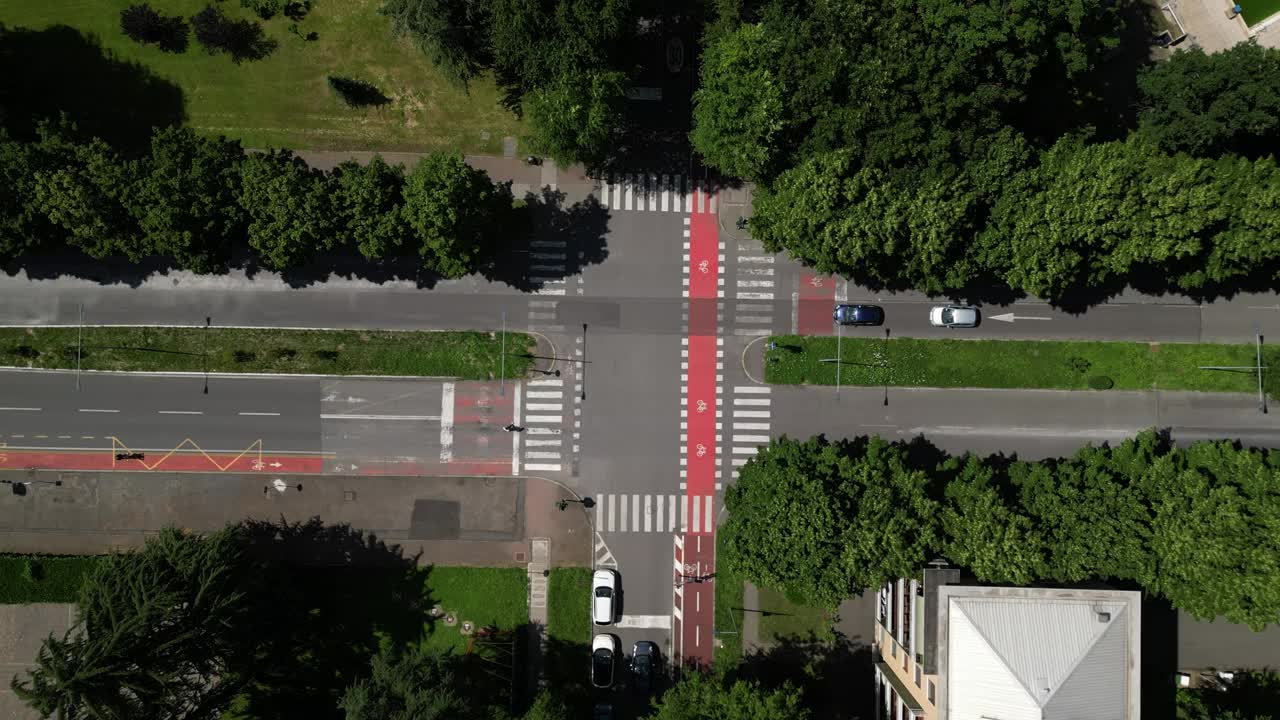 城市市区的汽车交通情况。路边的树视频下载