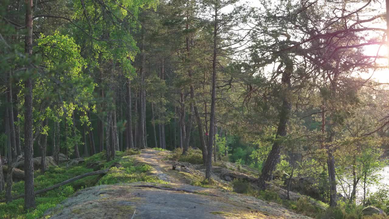 小路在森林里，左边是湖视频素材