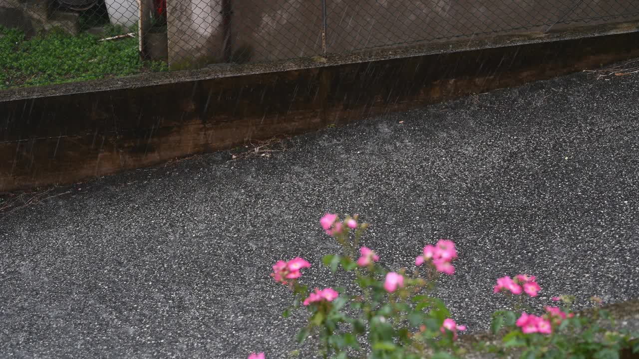 雨滴落在城市街道上。视频素材