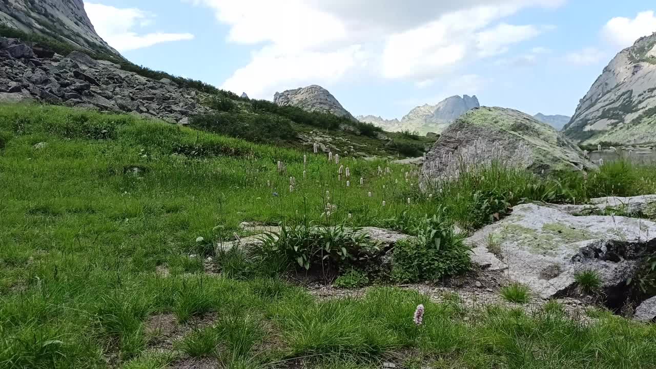 在夏天的一天，在陡峭的石坡上长满了茂盛的低矮的草。视频下载