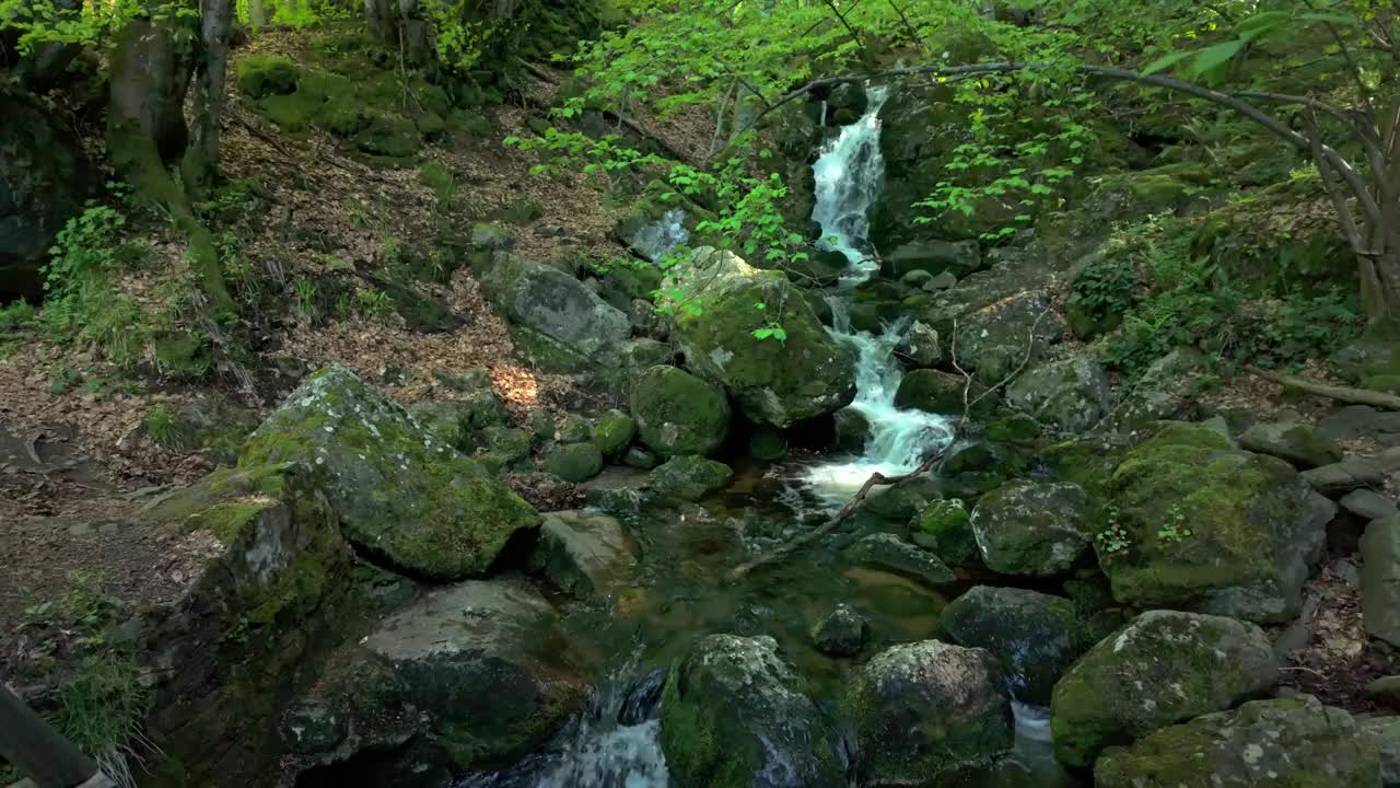 小瀑布和一条河流流经郁郁葱葱的绿色森林。美丽的风景。在保加利亚索非亚附近的维托沙山，清澈的Vkadaya河水。视频素材