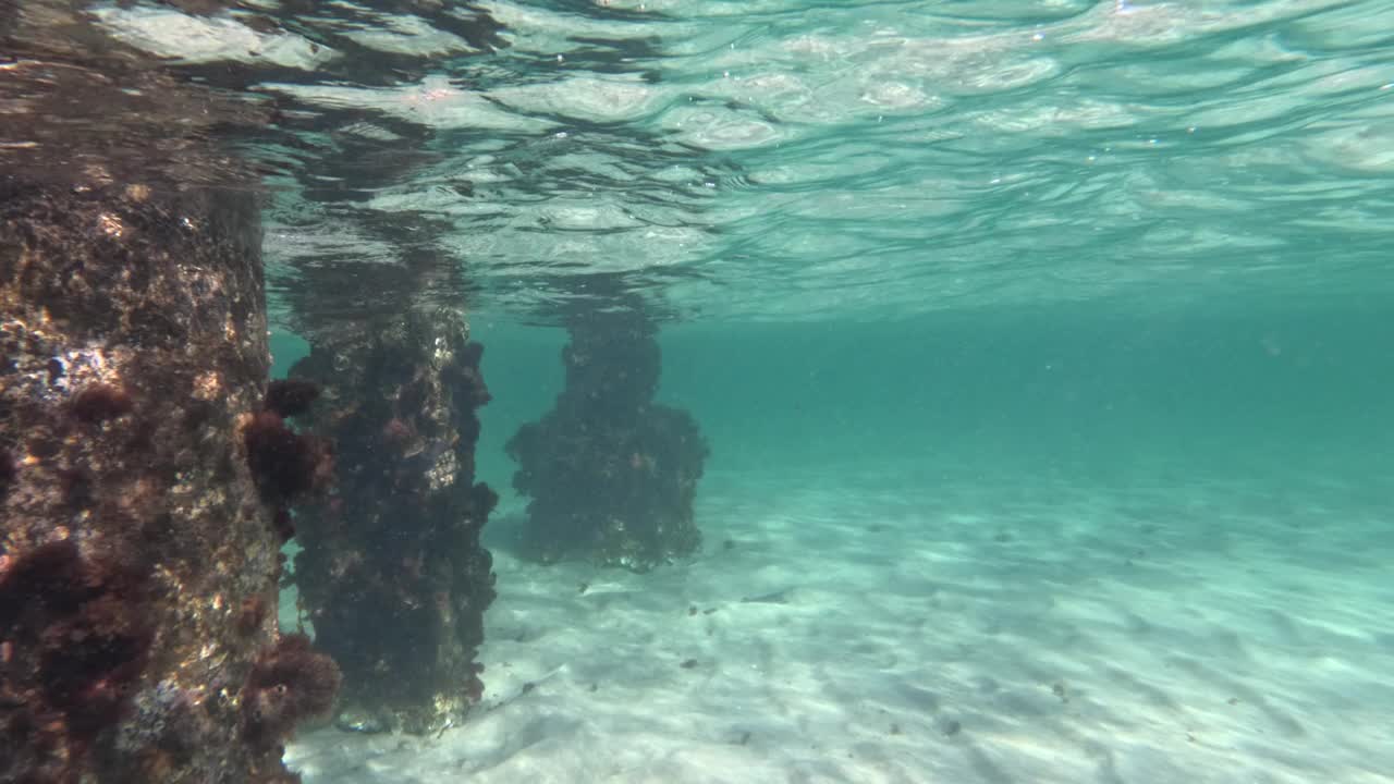 皮隆码头水下景观视频素材