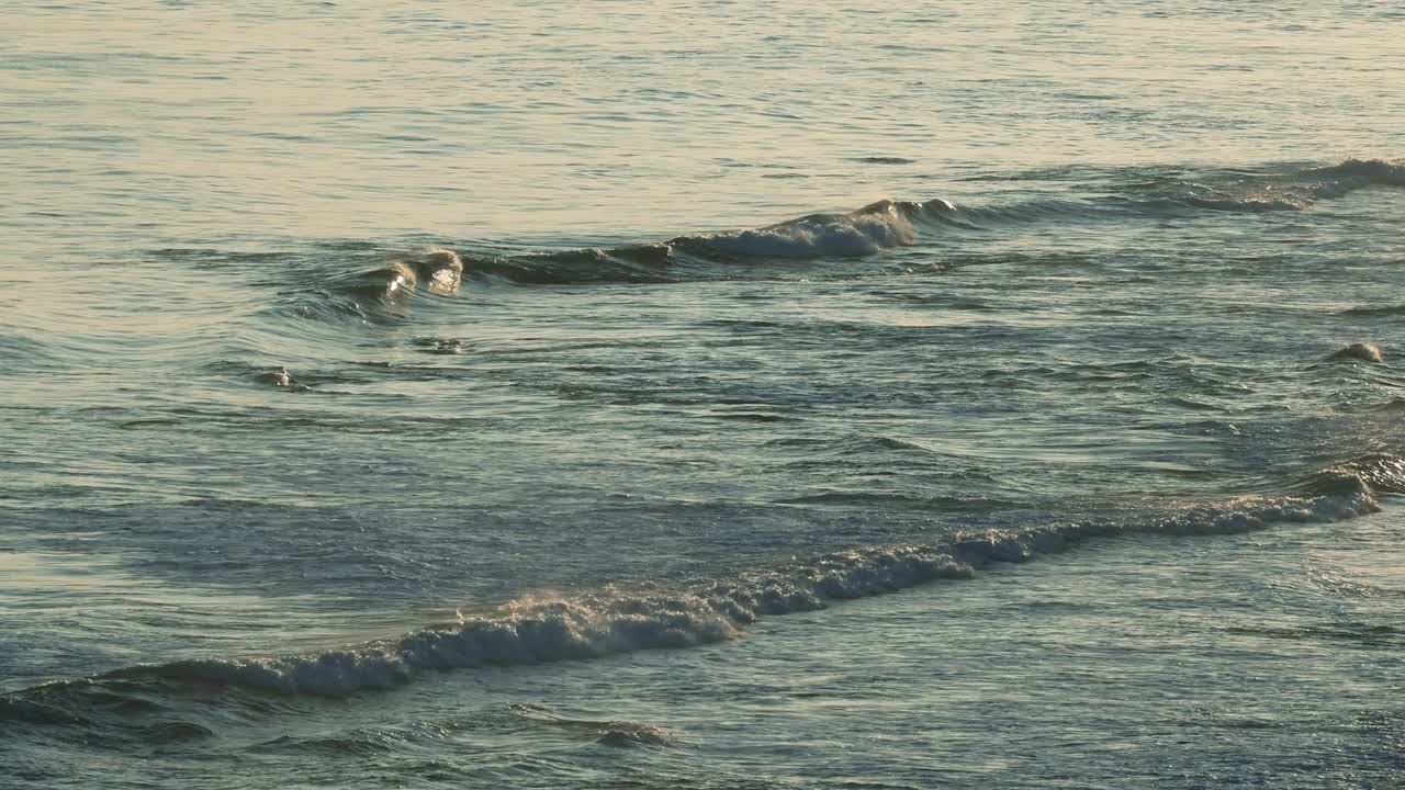 墨尔本海滩的慢动作海浪视频素材