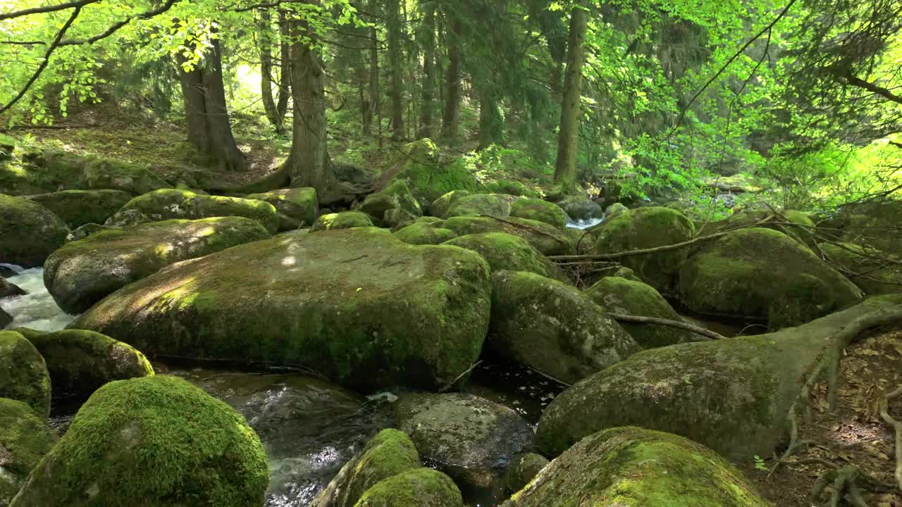 一条河流流经茂密的绿色森林，中间是喧闹的巨石。动态的阳光丰富了美丽的风景。保加利亚索非亚附近Vitosha山的Vkadaya河的美丽镜头。视频素材