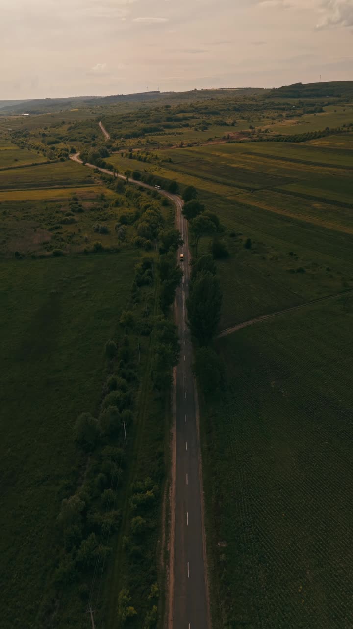 鸟瞰图，一条风景优美的道路被郁郁葱葱的绿色田野包围，被夕阳照亮视频素材