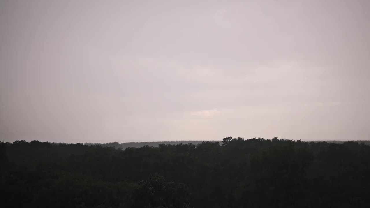 暴雨在森林- 4K视频素材