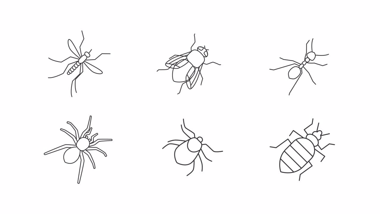 动画虫子图标视频素材