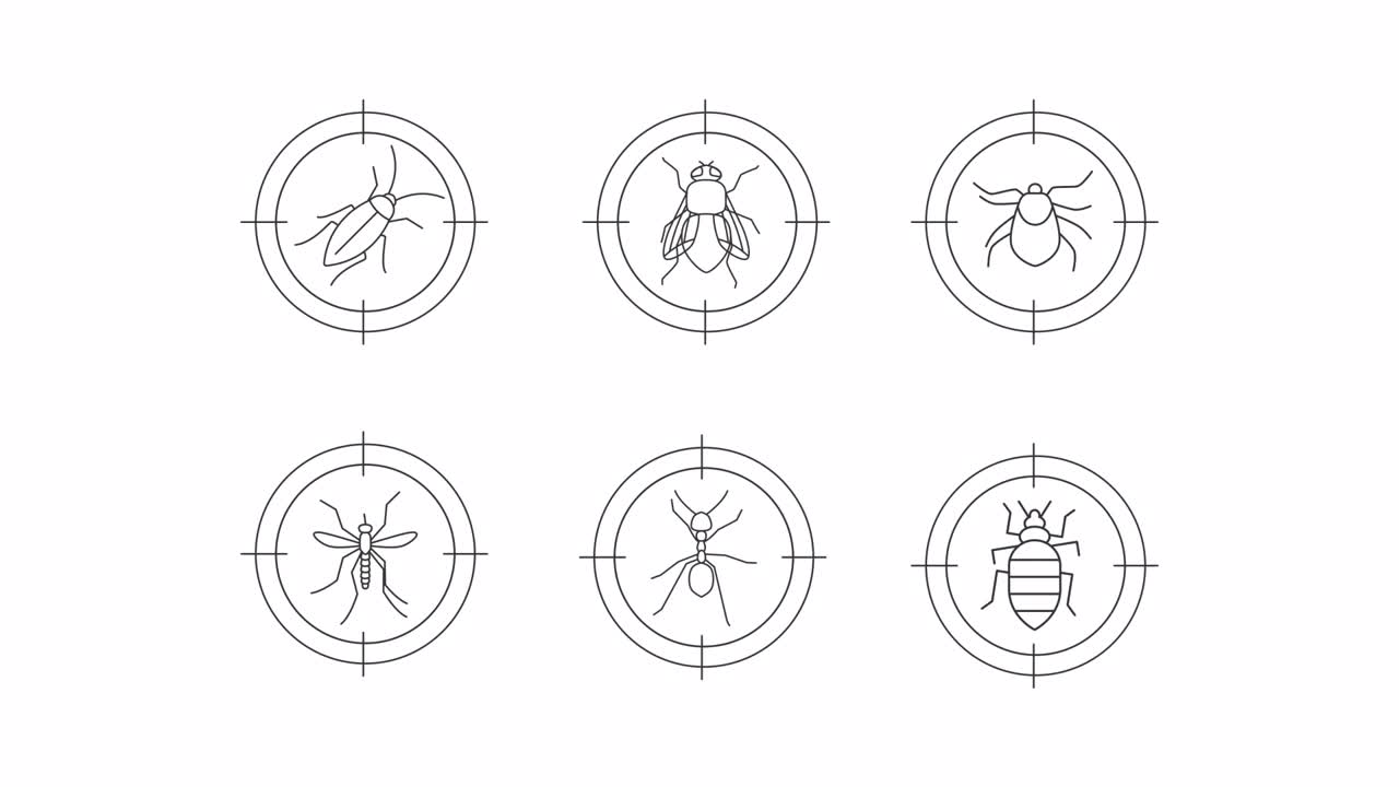 动画昆虫范围图标视频素材
