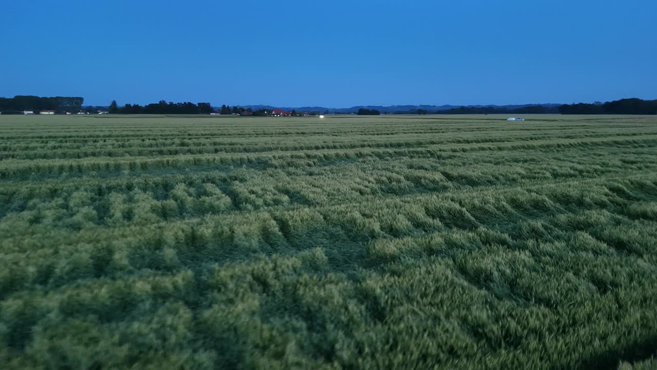 无人机低空飞行捕捉蓝天下的草地景观视频素材