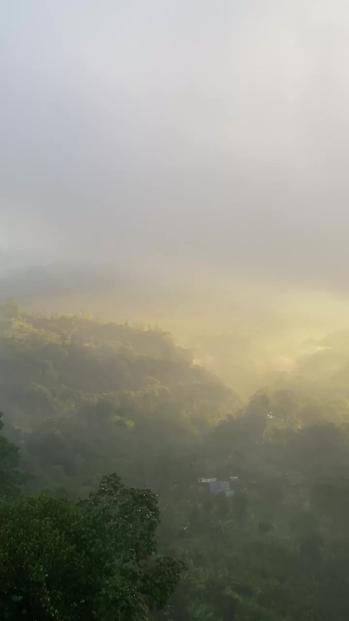 迷雾山日出。视频素材