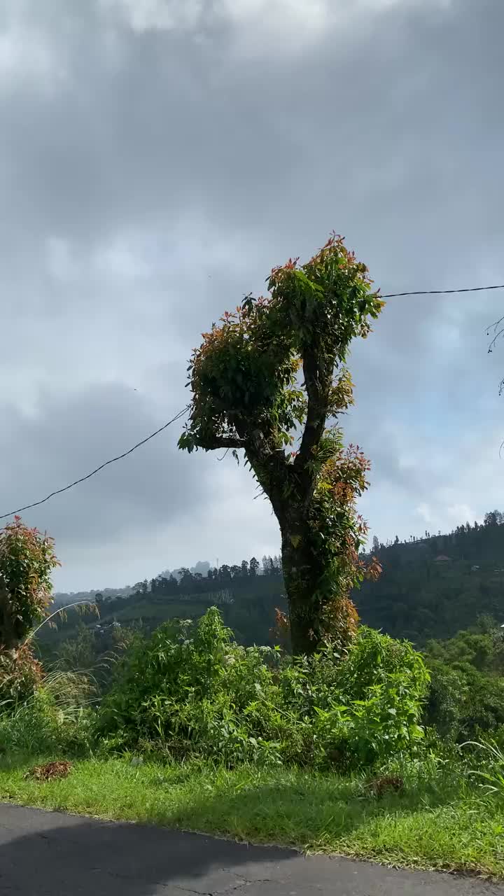 在多云的天空下，宁静的山坡景色。视频下载