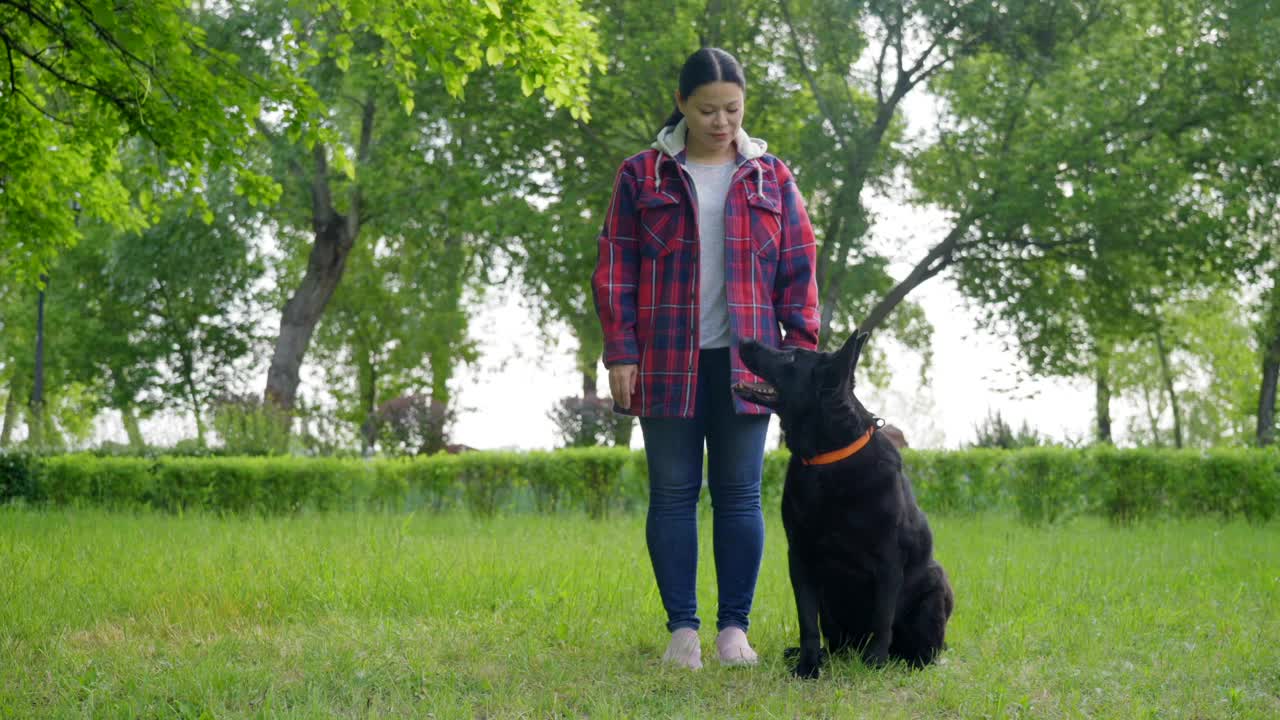 有爱心的成熟亚洲妇女在公园里练习狗服从训练视频素材