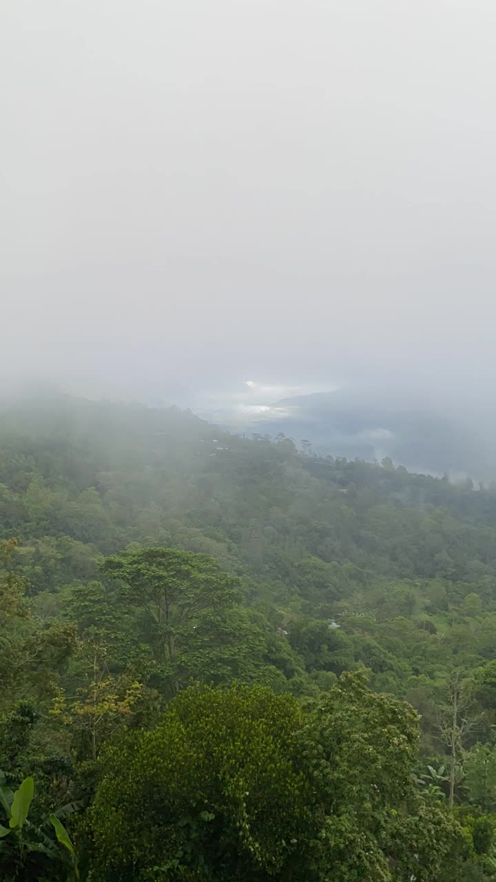 朦胧的清晨山景视频下载