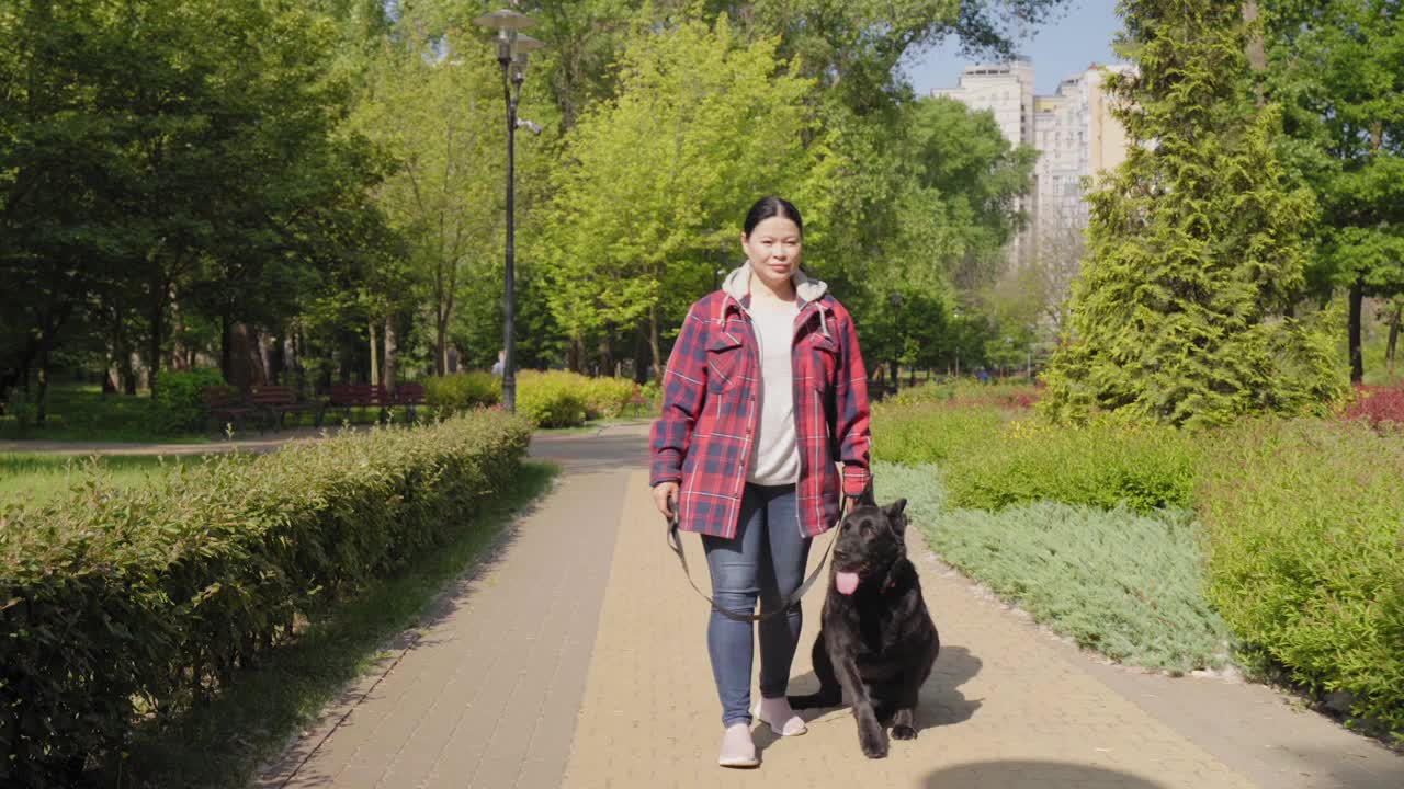 迷人的中年亚洲女子在夏季公园遛狗视频素材