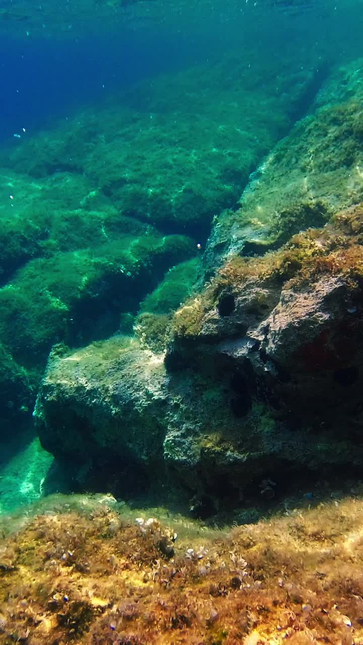 亚得里亚海岩石海岸的水下景观。垂直视频视频素材