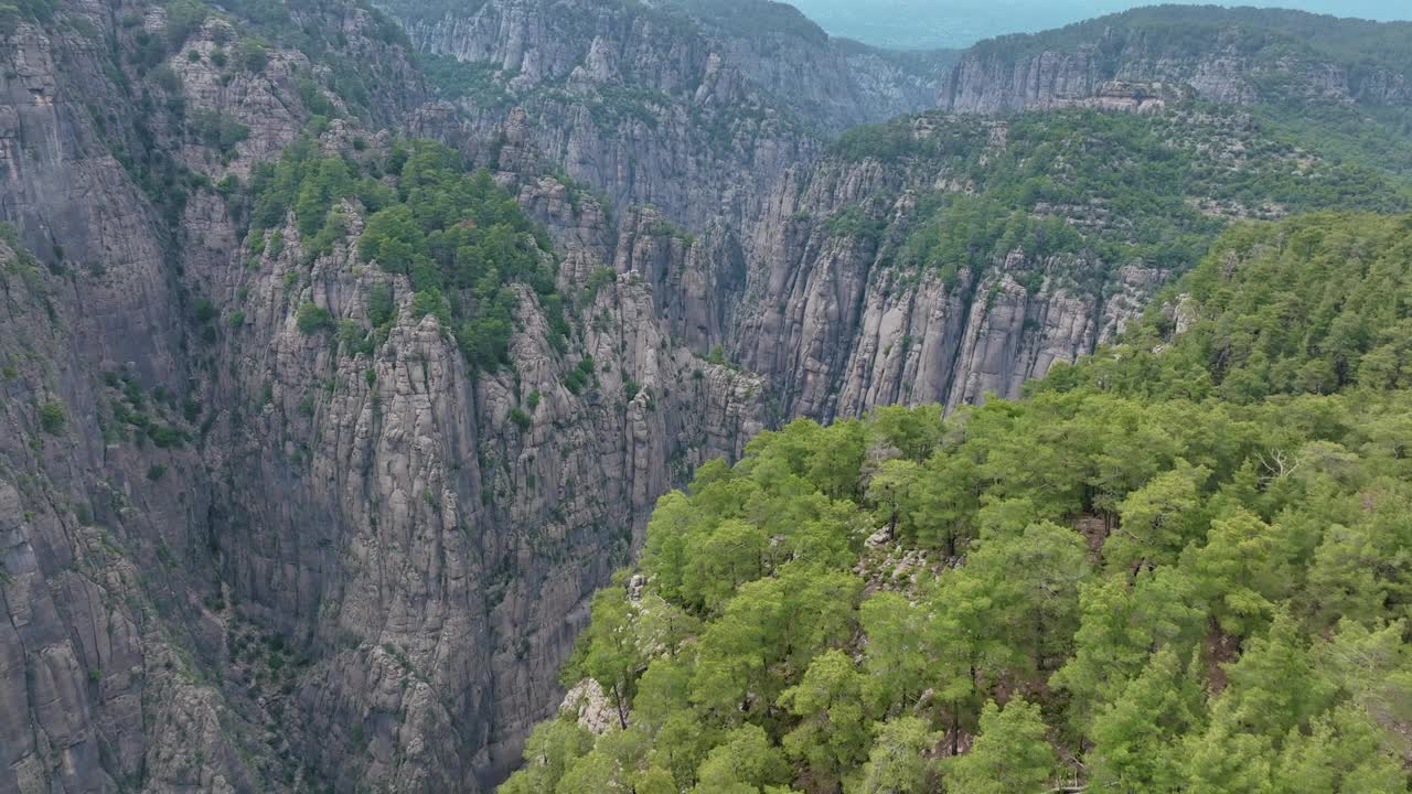 壮观的鸟瞰图，深，绿色的森林峡谷与高耸的岩石悬崖视频素材