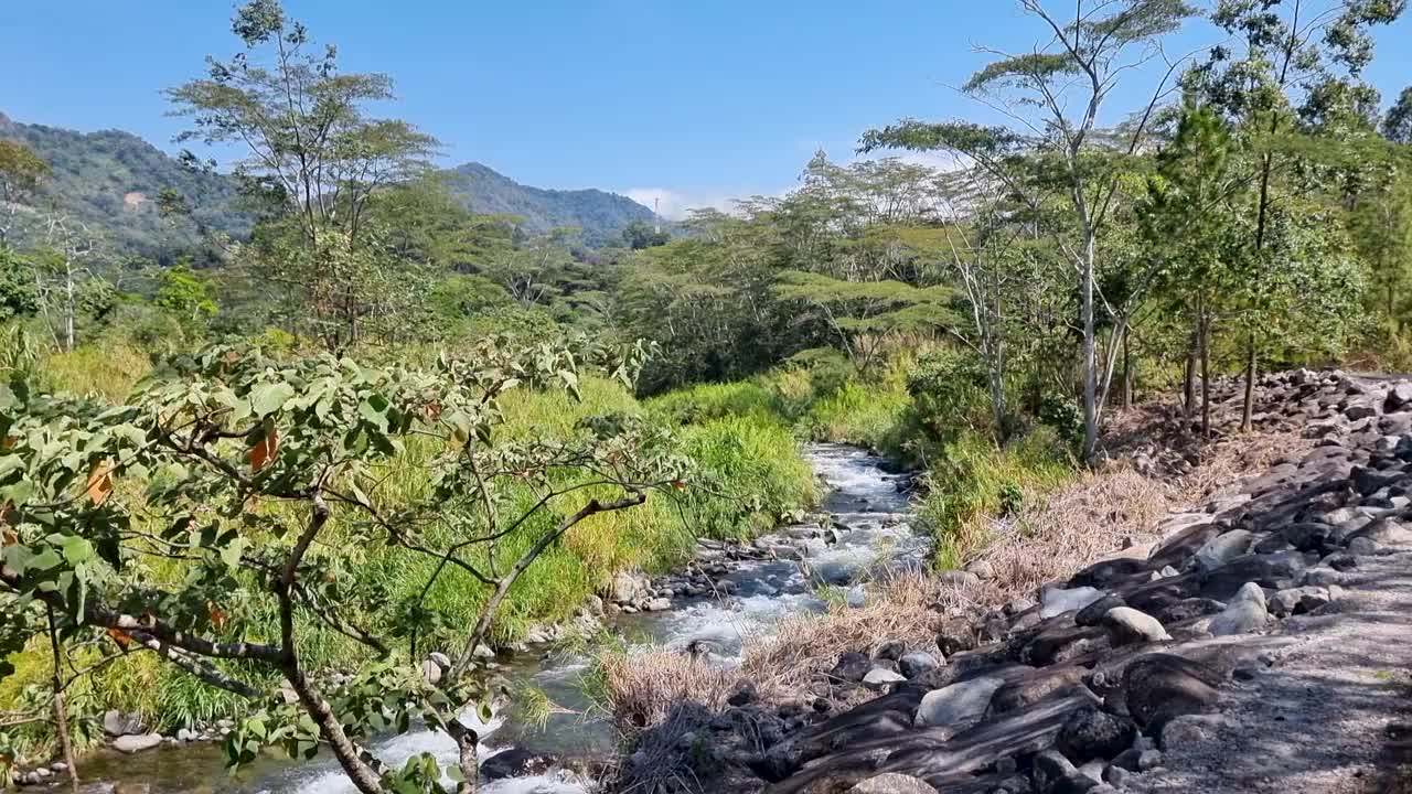 巴拿马，波奎特，丛林和火山山丘之间的火山口溪全景视频下载